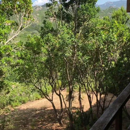 Il Boschetto Dei Corbezzoli Villetta 5